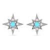 BUY STERLING SILVER NATURAL BLUE TURQUOISE GEMSTONE CLASSIC  EARRINGS